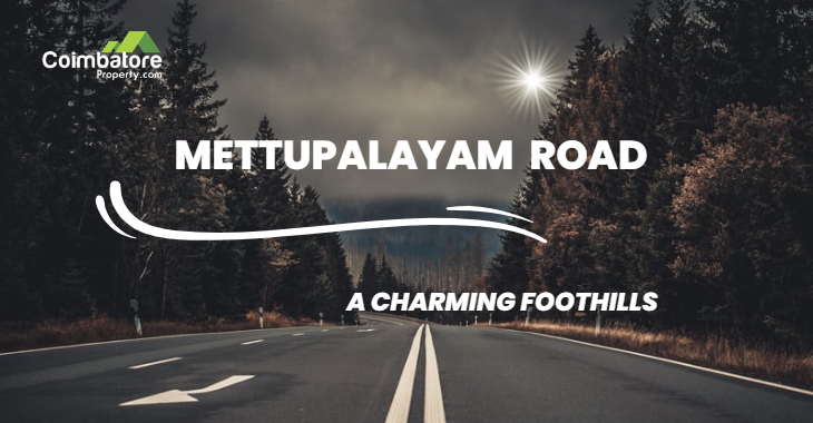 Mettupalayam Road - A Charming Foothills 