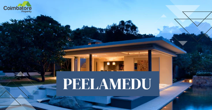 Peelamedu