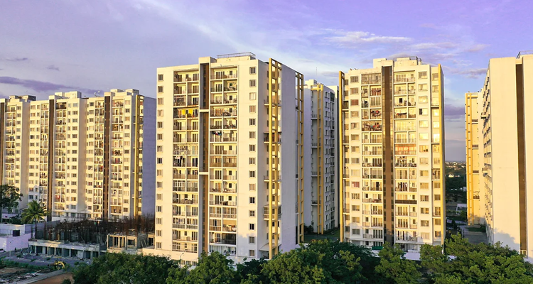 TVH Vista Heights