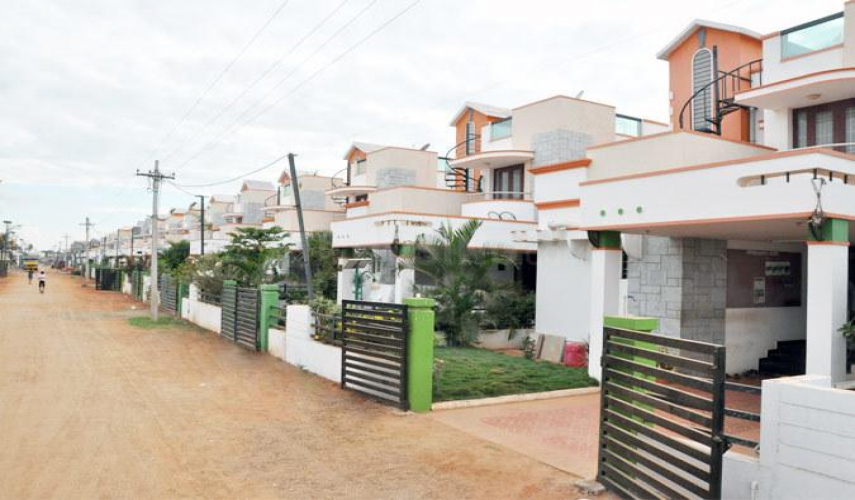 Dhanas Vrikshaa