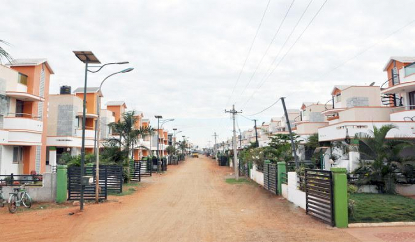 Dhanas Vrikshaa