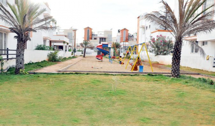 Dhanas Vrikshaa