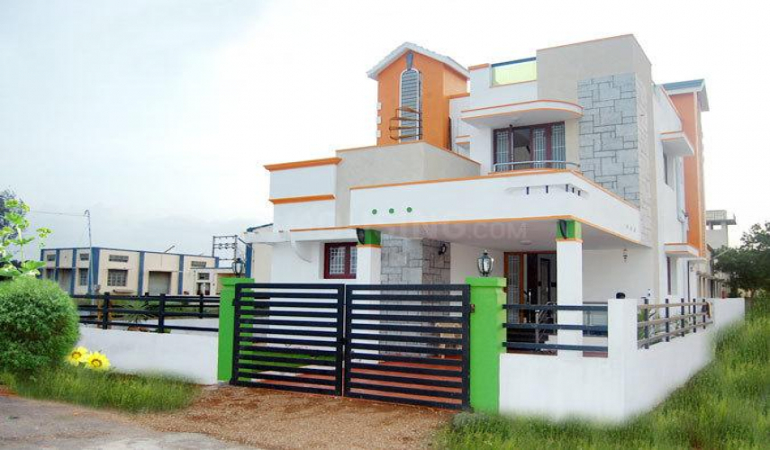 Dhanas Vrikshaa