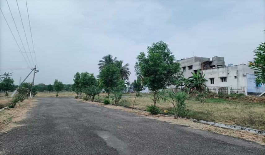 Selvam Avenue
