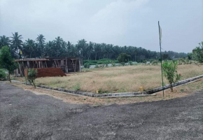 Selvam Avenue