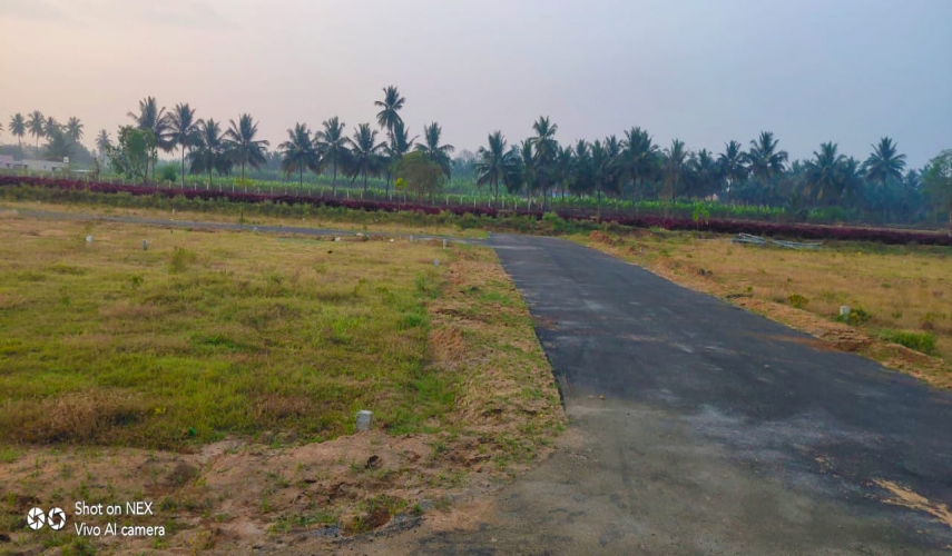 Vishnu Avenue
