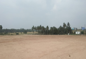 800 - 2380 Sqft Land for sale in Kinathukadavu