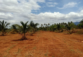 9146.7 -  Sqft Land for sale in Selvapuram