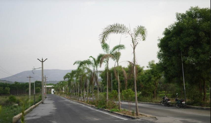 Temple Town