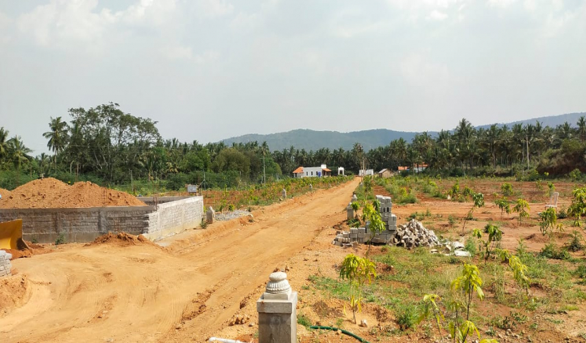 Chettinad Farm