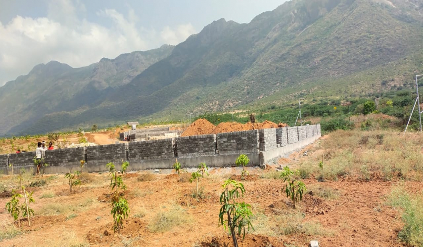 Chettinad Farm
