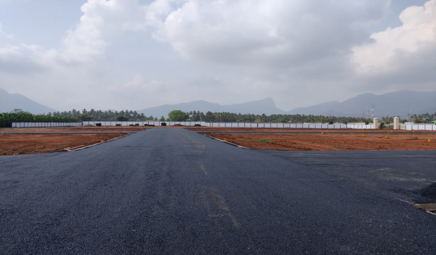 Sai Green Garden