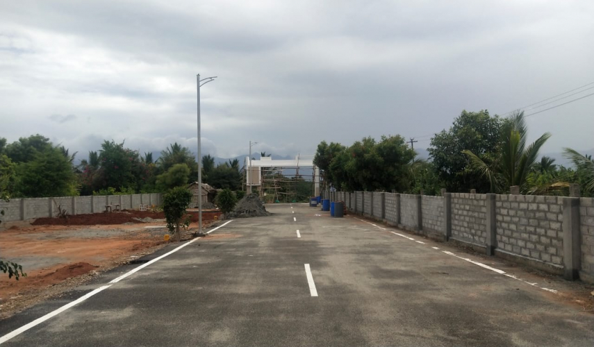 Sai Green Garden
