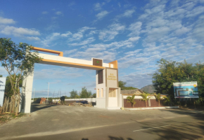 Sai Green Garden