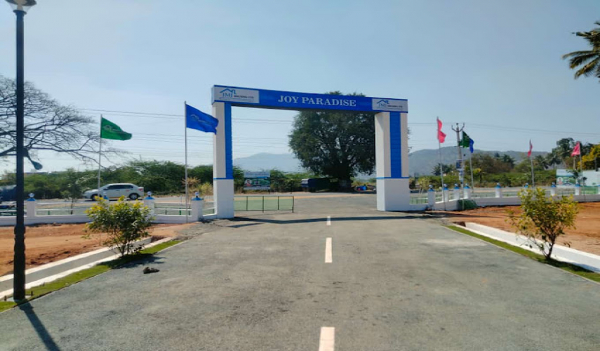 JMJ Joy Paradise