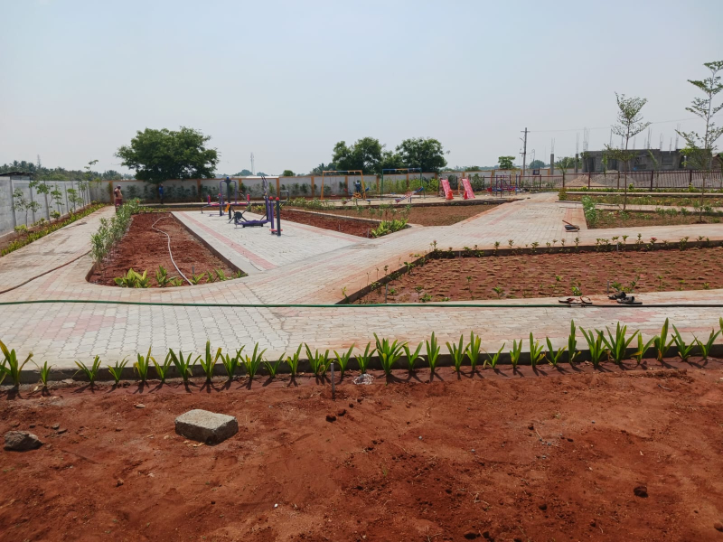 Green Field Coral Residency