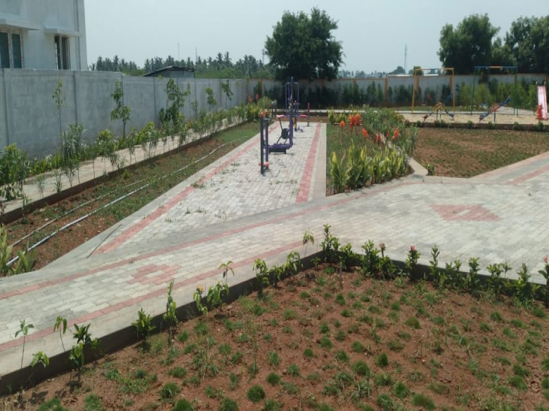 Green Field Coral Residency