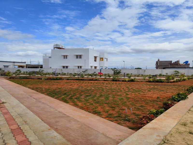 Green Field Coral Residency