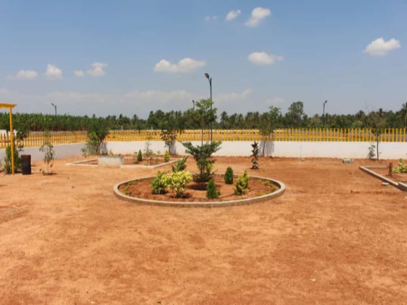 The Garden City