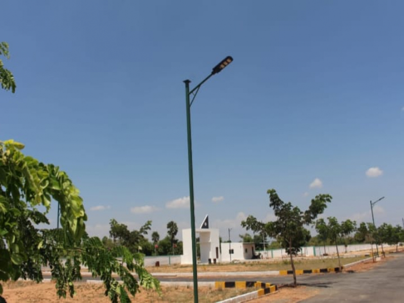The Garden City