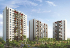TVH Vista Heights
