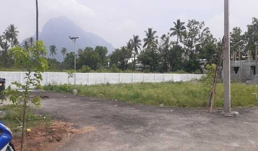 Neel Garden