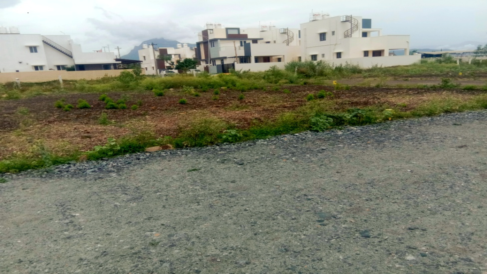 PMK Avenue
