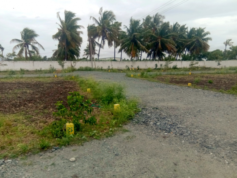 PMK Avenue