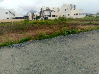 PMK Avenue
