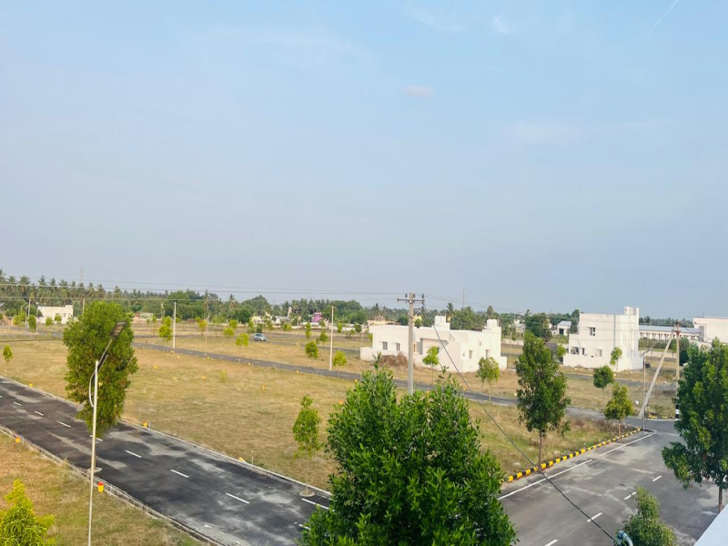 Royal Village