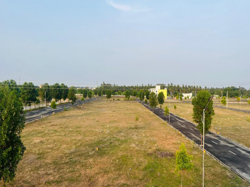 Royal Village
