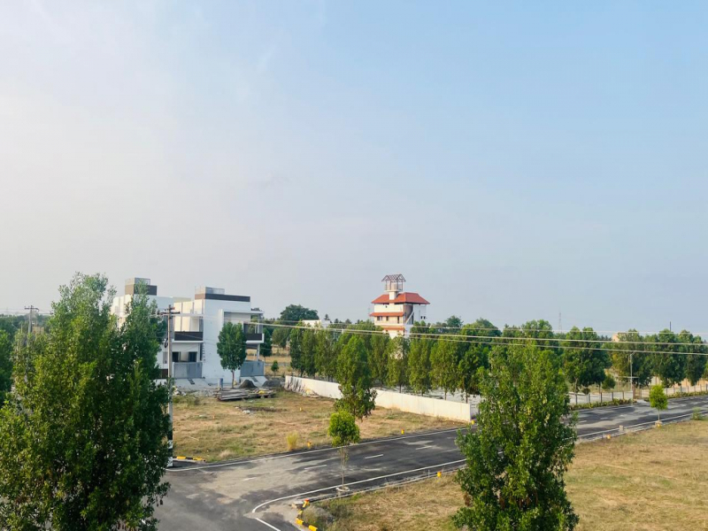 Royal Village