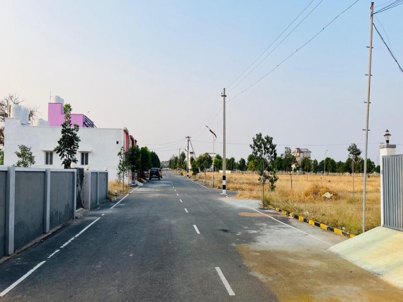 Royal Village