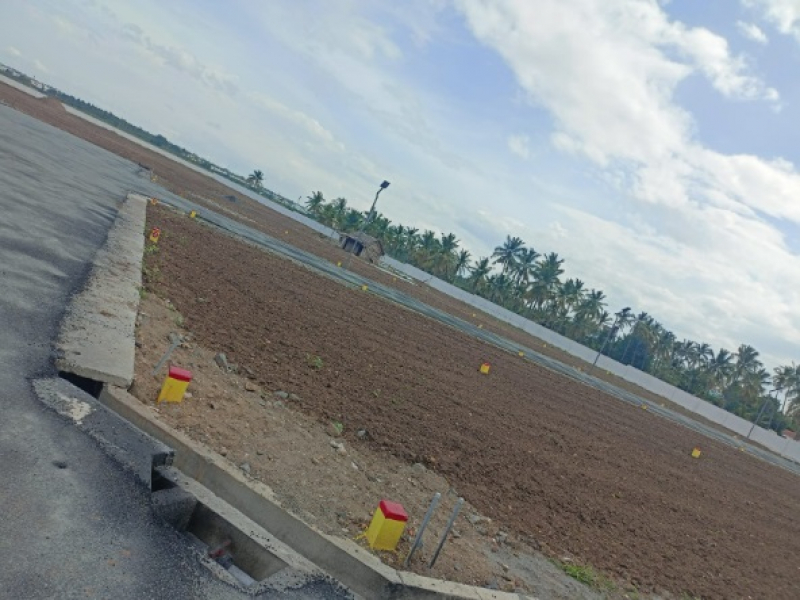 Gem Field