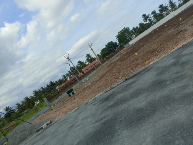 Gem Field
