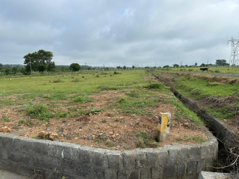 Karun Garden