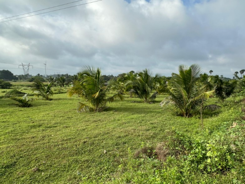 Karun Garden