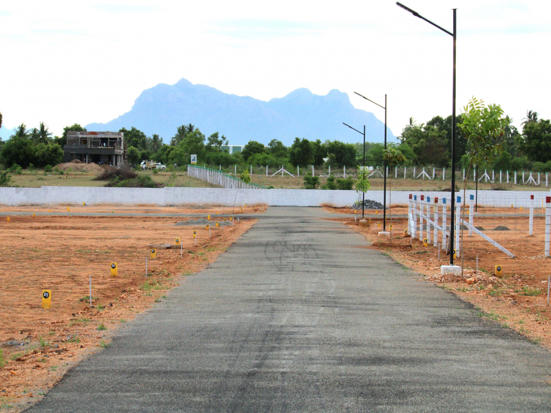 La Srinivasa Garden