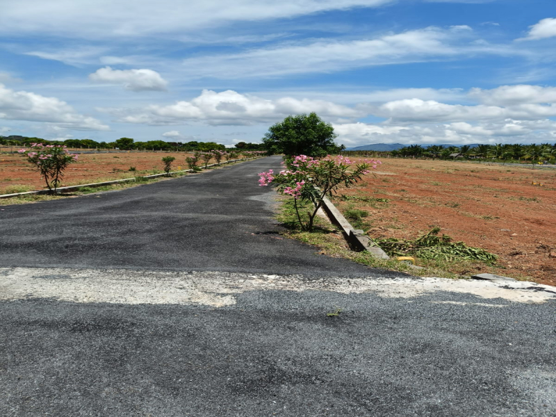 Krishna Avenue