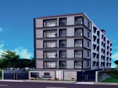 3, 4 BHK flats for sale in R S Puram