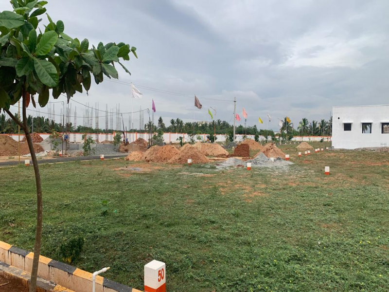 Lotus Town