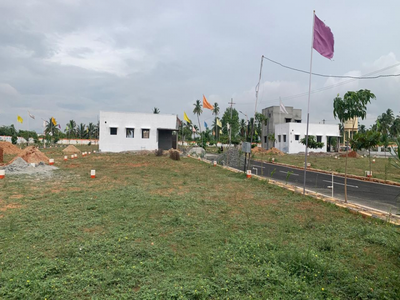 Lotus Town