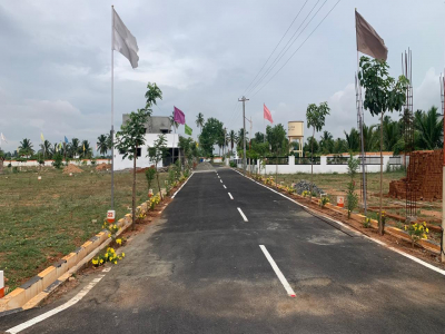 Lotus Town