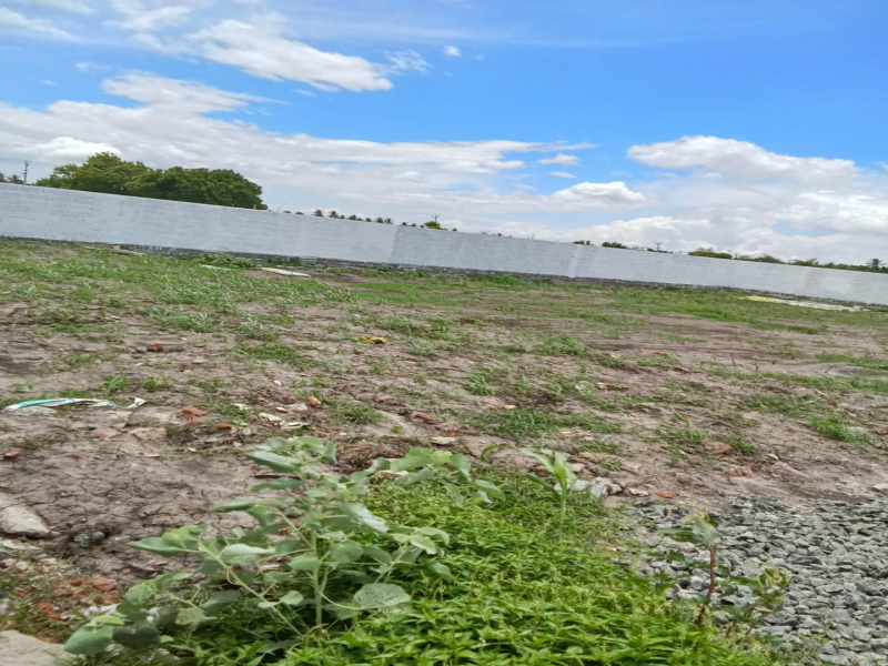 Royal Residency Plots