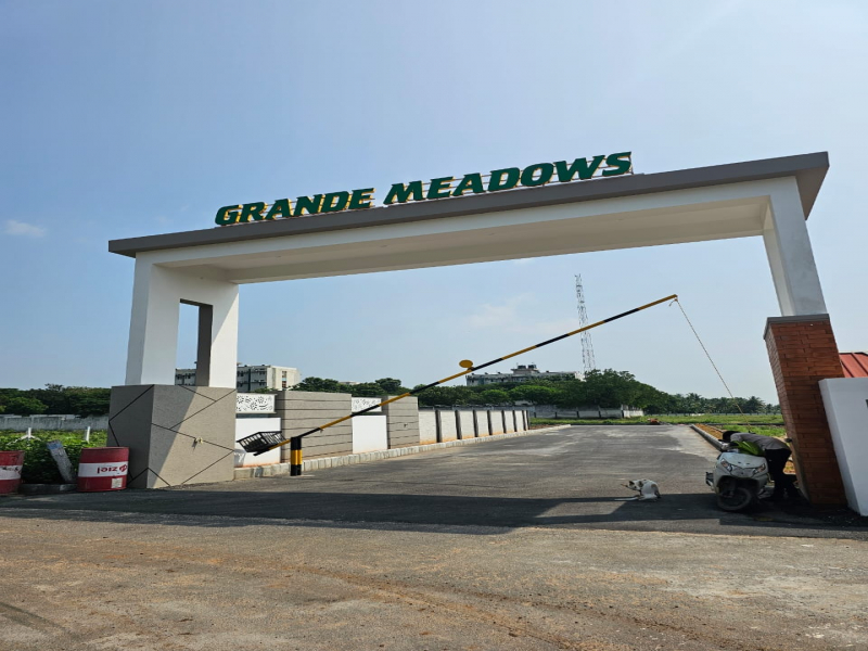 Grande Meadows