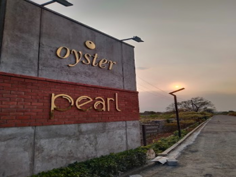 Oyster Pearl