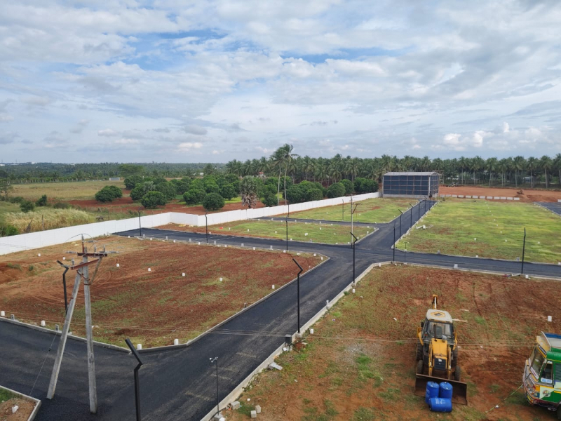 Greenfield Amari Farms