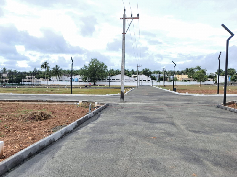 Greenfield Amari Farms