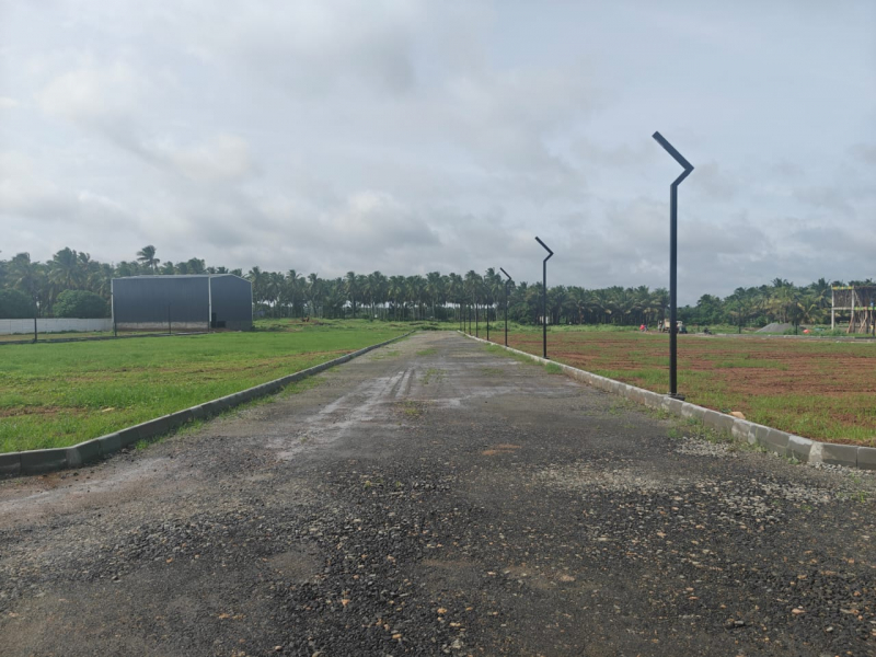 Greenfield Amari Farms