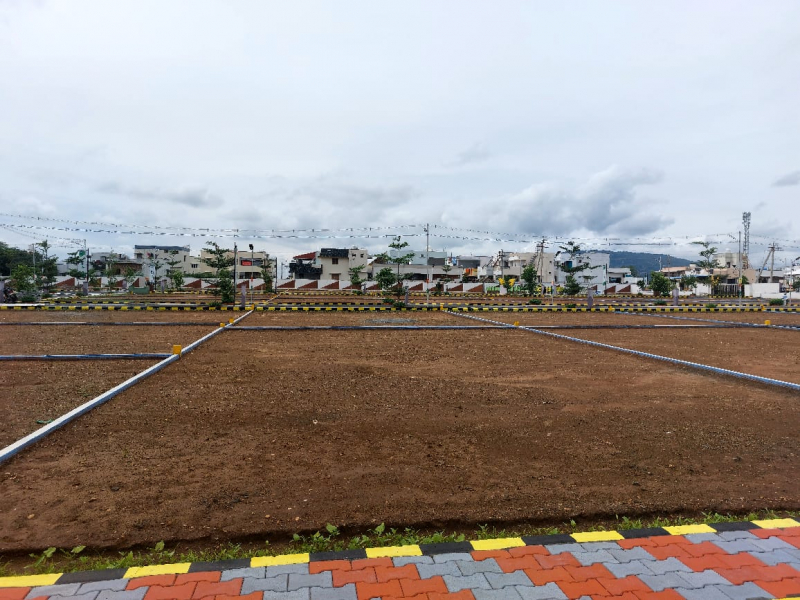 Greenfield Bigway Ishara